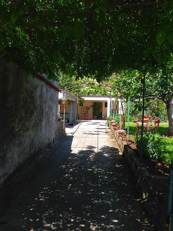 Apartamento App Milija Rovinj Exterior foto